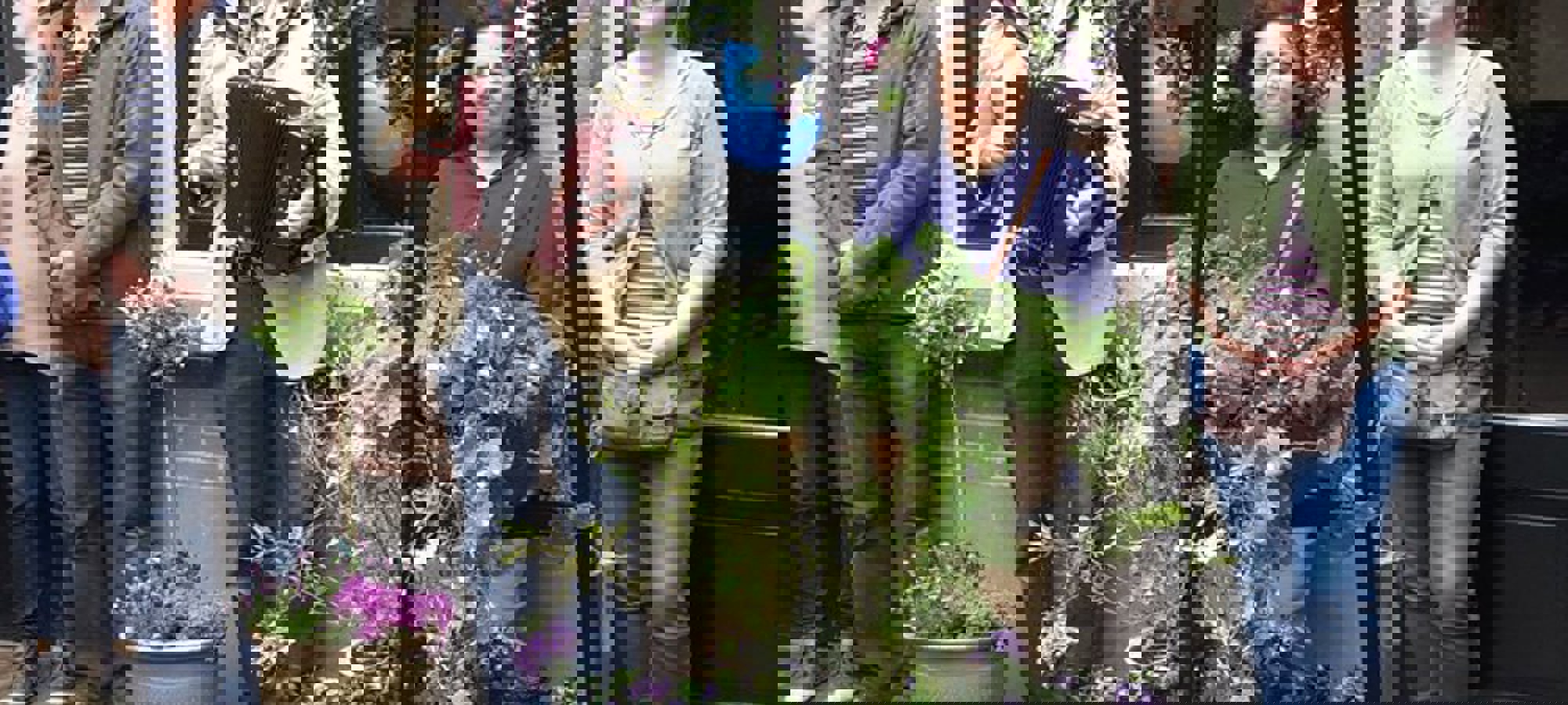 Thedingsweert 2