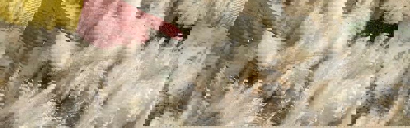 Audit Huidige Boekhouding