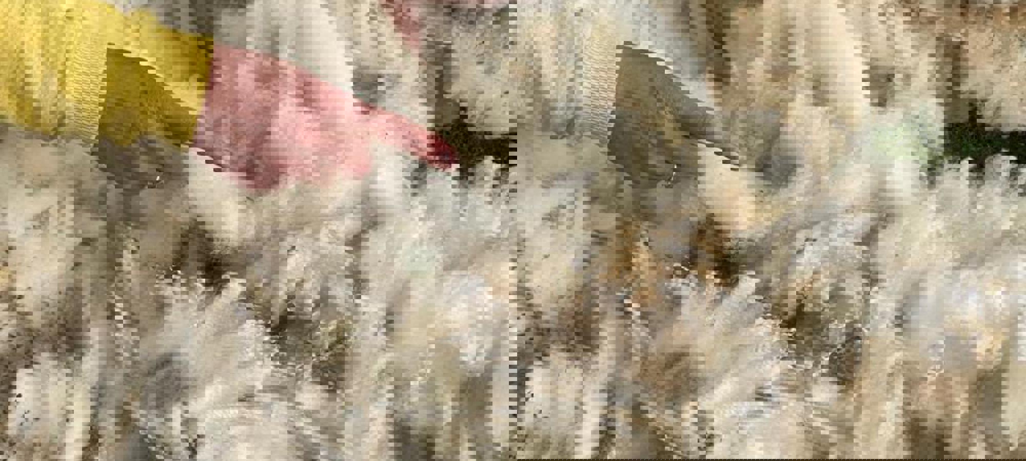 1ab0b58c-1d68-43ee-9593-e1a737e80369