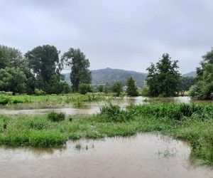 Natuurkracht