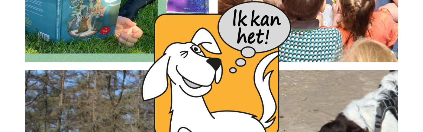 Website design update met content