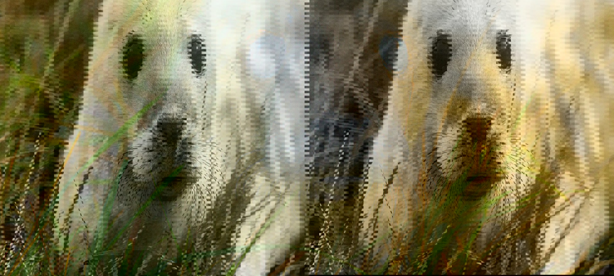 Diana Parkhouse Yh9yc8obutw Unsplash