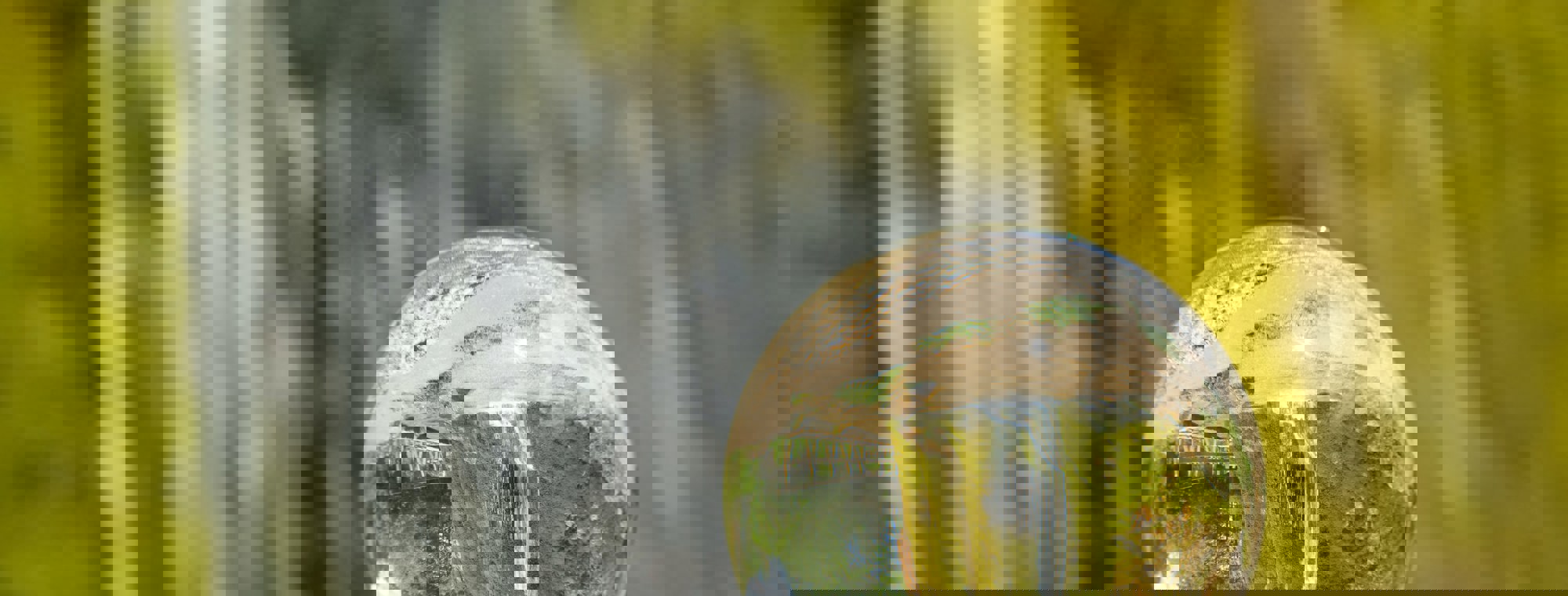 Marc Schulte N5qzgurybei Unsplash