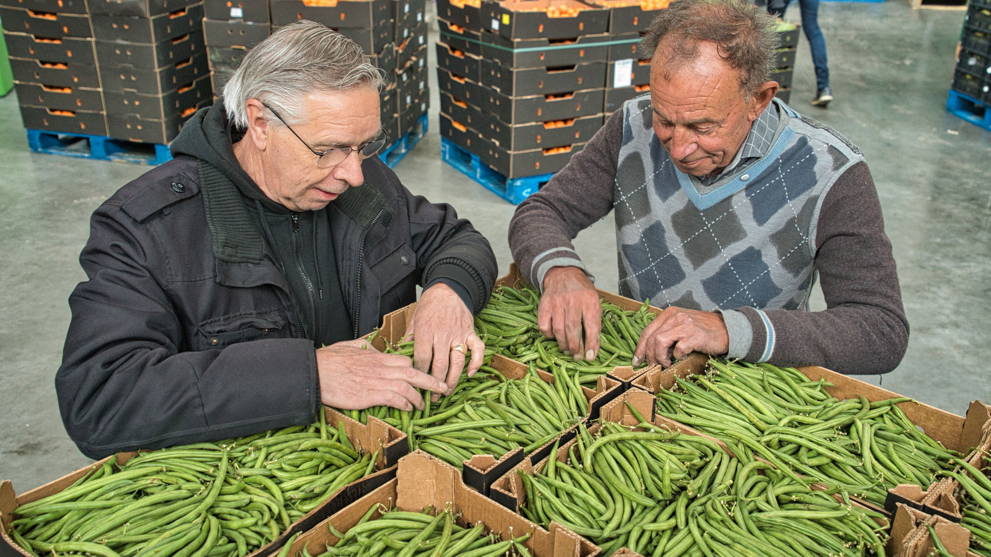 Groente & Fruit brigade