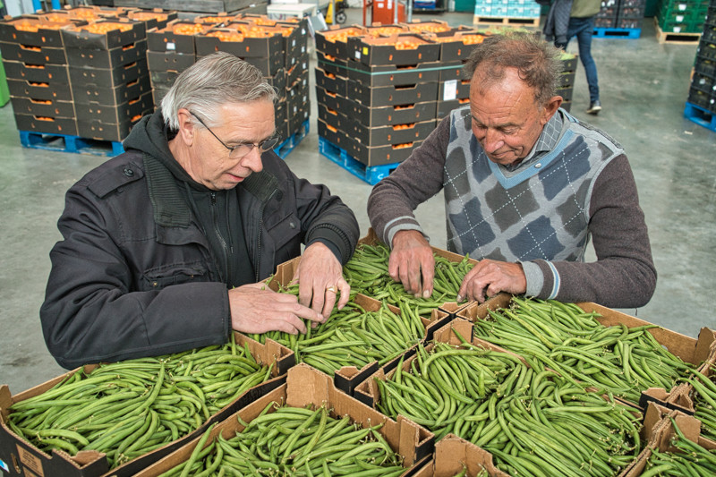 Groente & Fruit brigade
