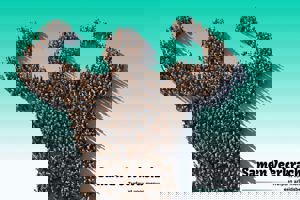 WhatsApp communitymanager