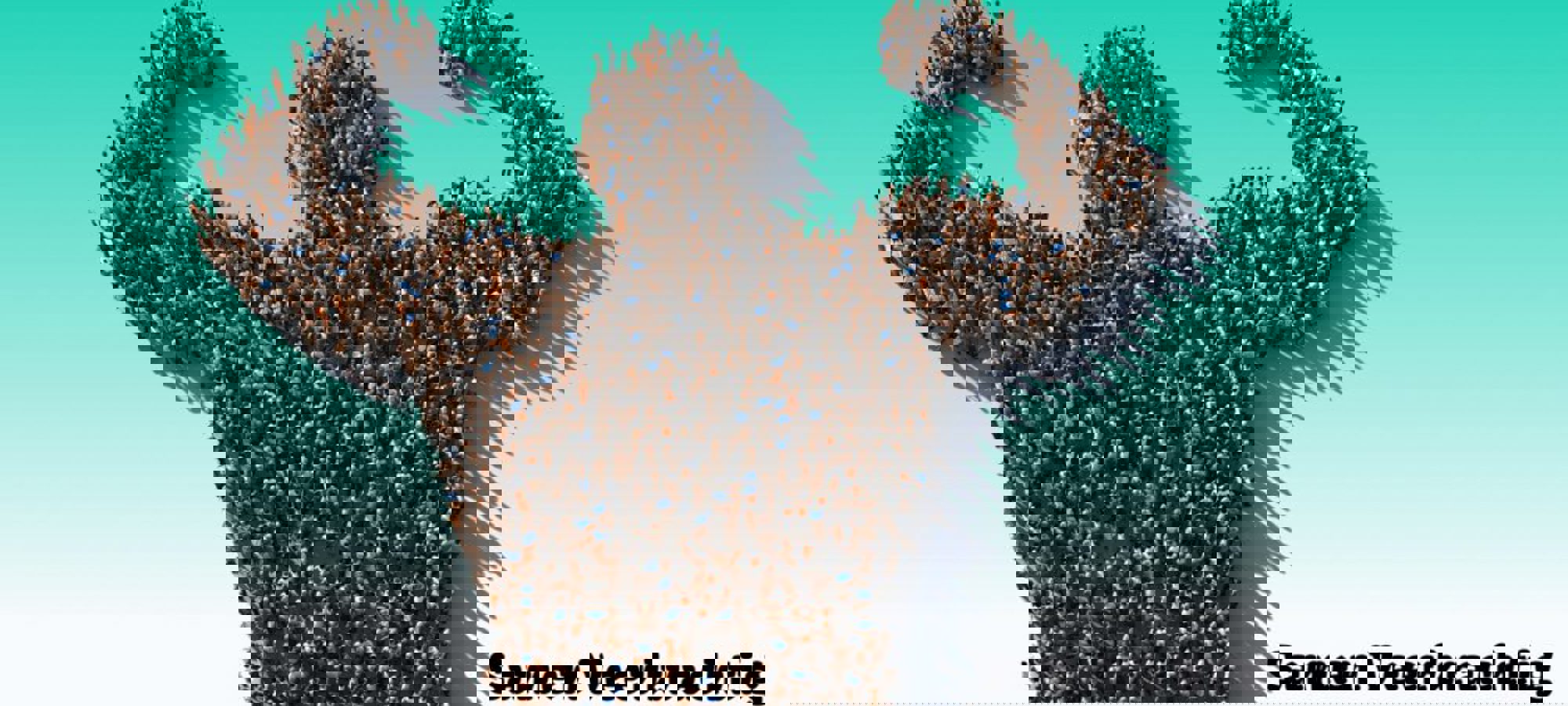 e9b08fd8-802b-4345-8b4d-5ab580b86333