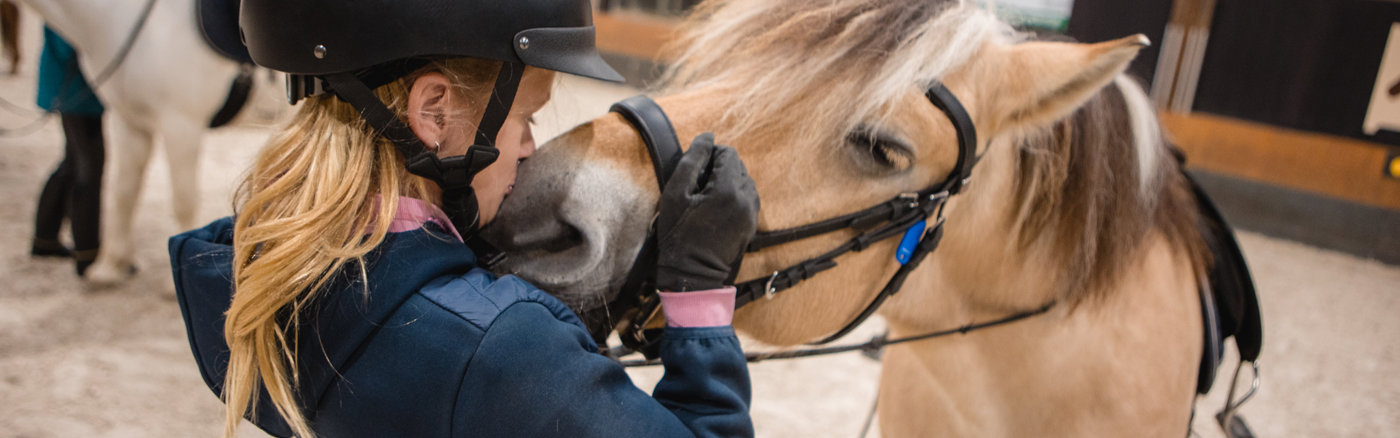 Adviseer manege en help sponsorprogramma te ontwikkelen