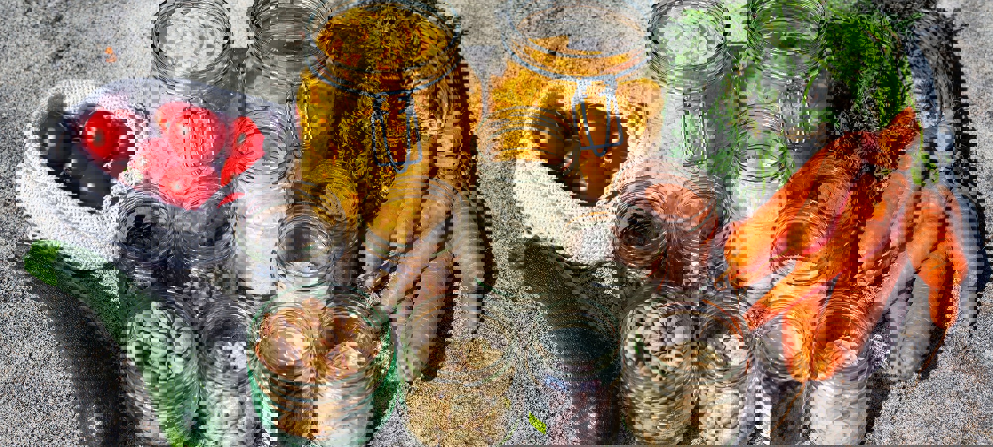 Jasmin Sessler 7K17mvt8qbg Unsplash