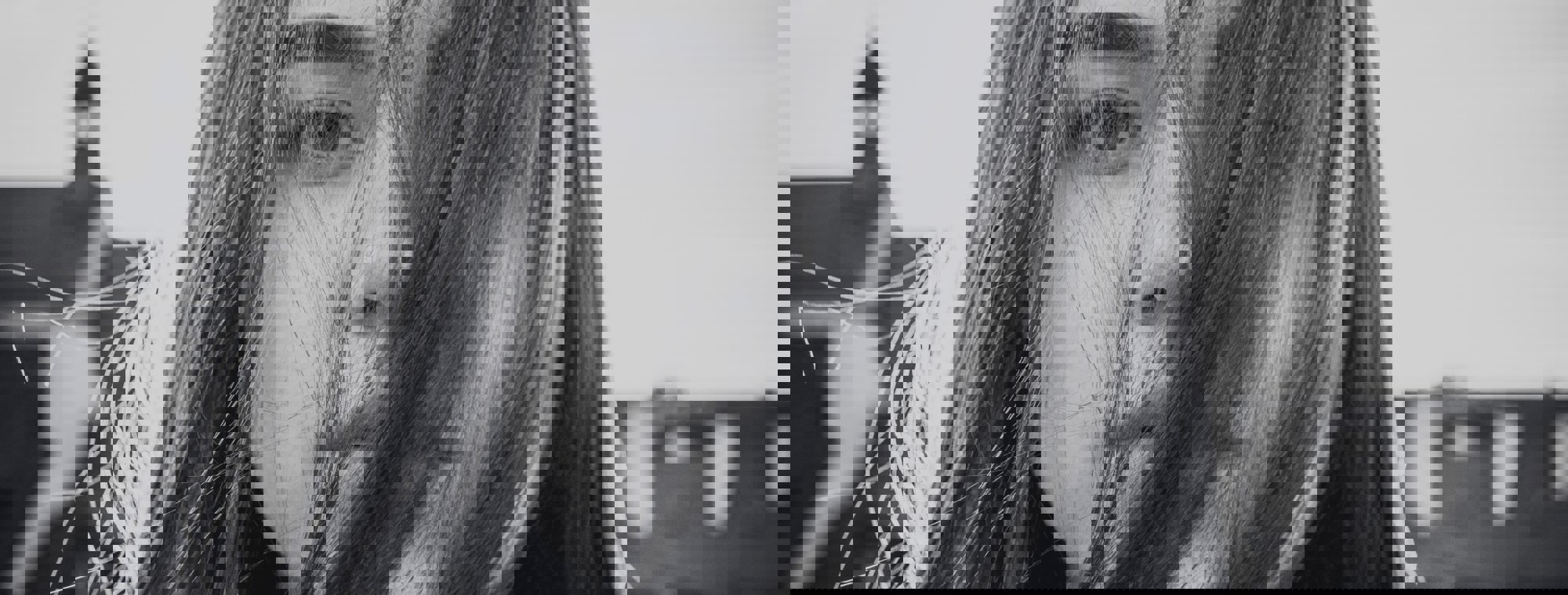 Andriyko Podilnyk Jtarzshvjcw Unsplash