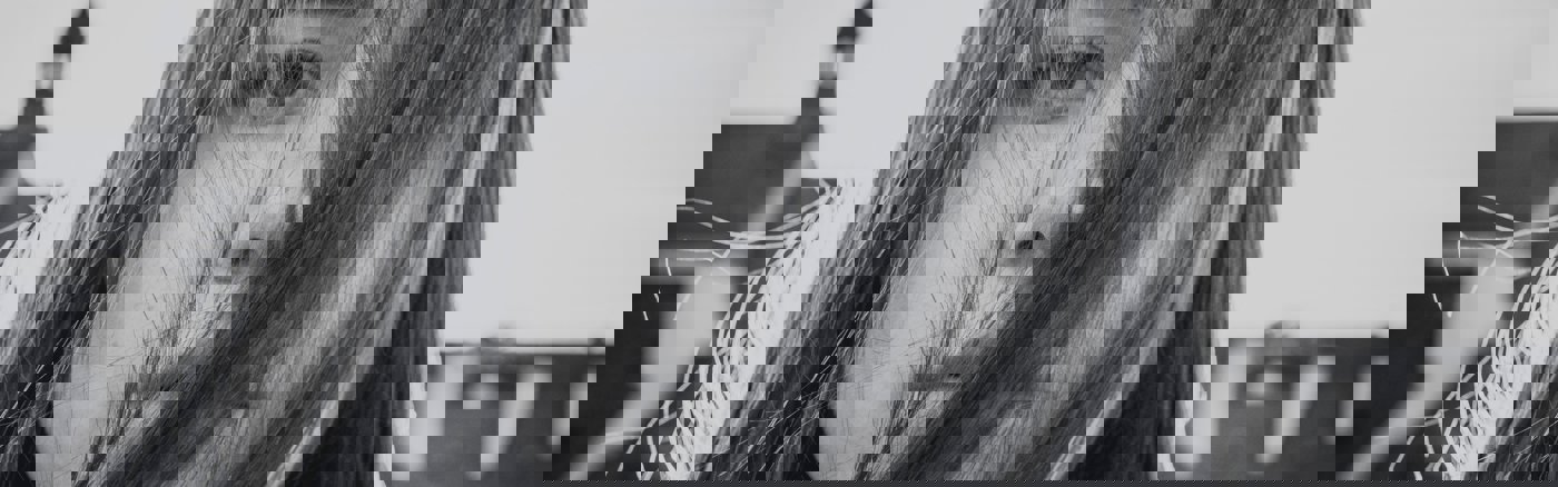 Strategisch advies Commerciële markt