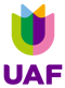 Stichting voor Vluchteling-Studenten UAF