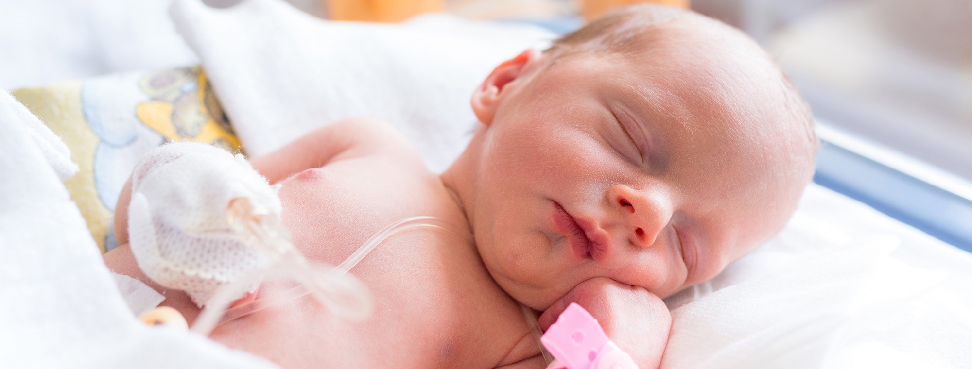 Strong Babies-photo