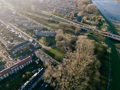 Vrijwilligerswerk in Arnhem: alle informatie die je nodig hebt!