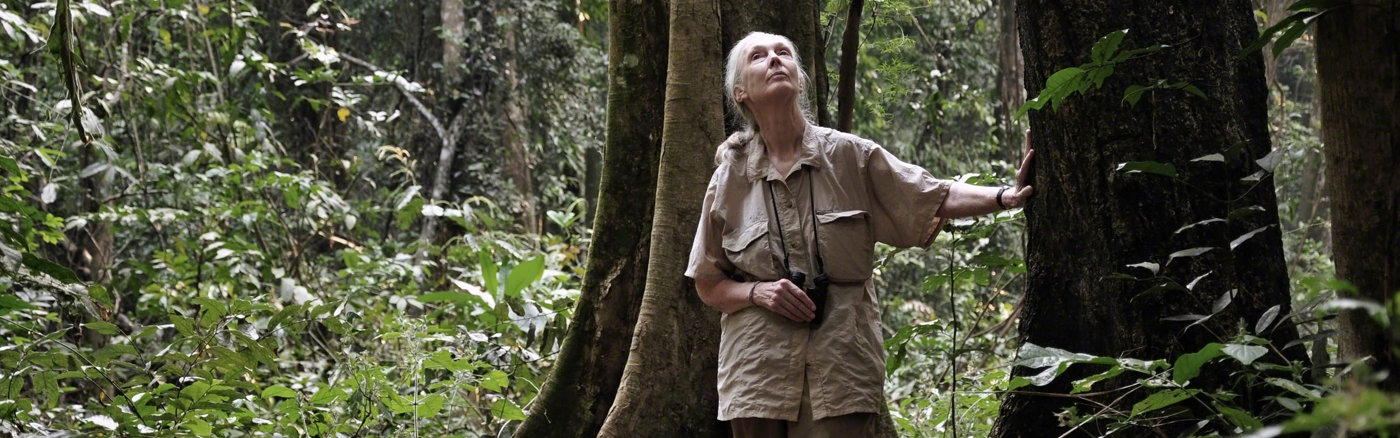 Poster of flyer design