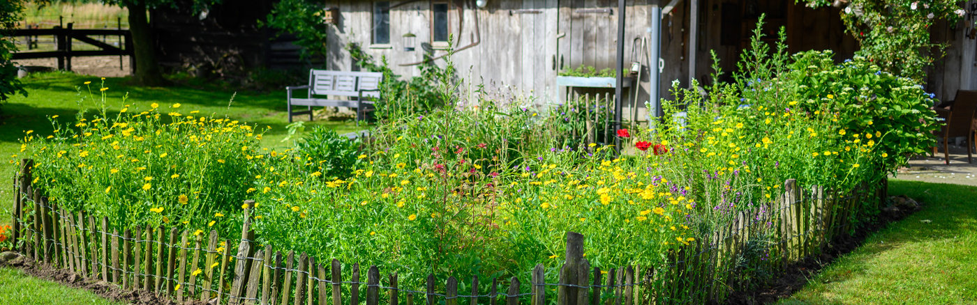 Merk- en communicatiestrategie