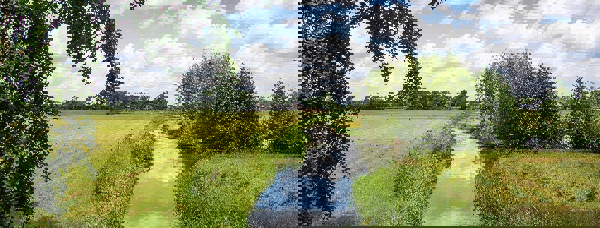 Jos Zwaan Ns8qvj Gfo Unsplash (2)