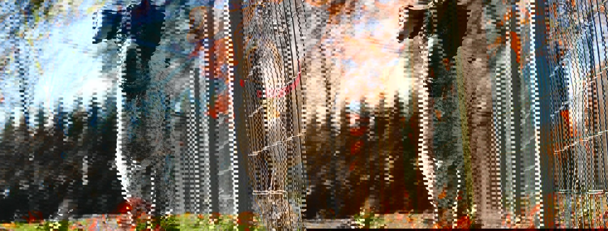 Tim Golder 41Exclghvhi Unsplash