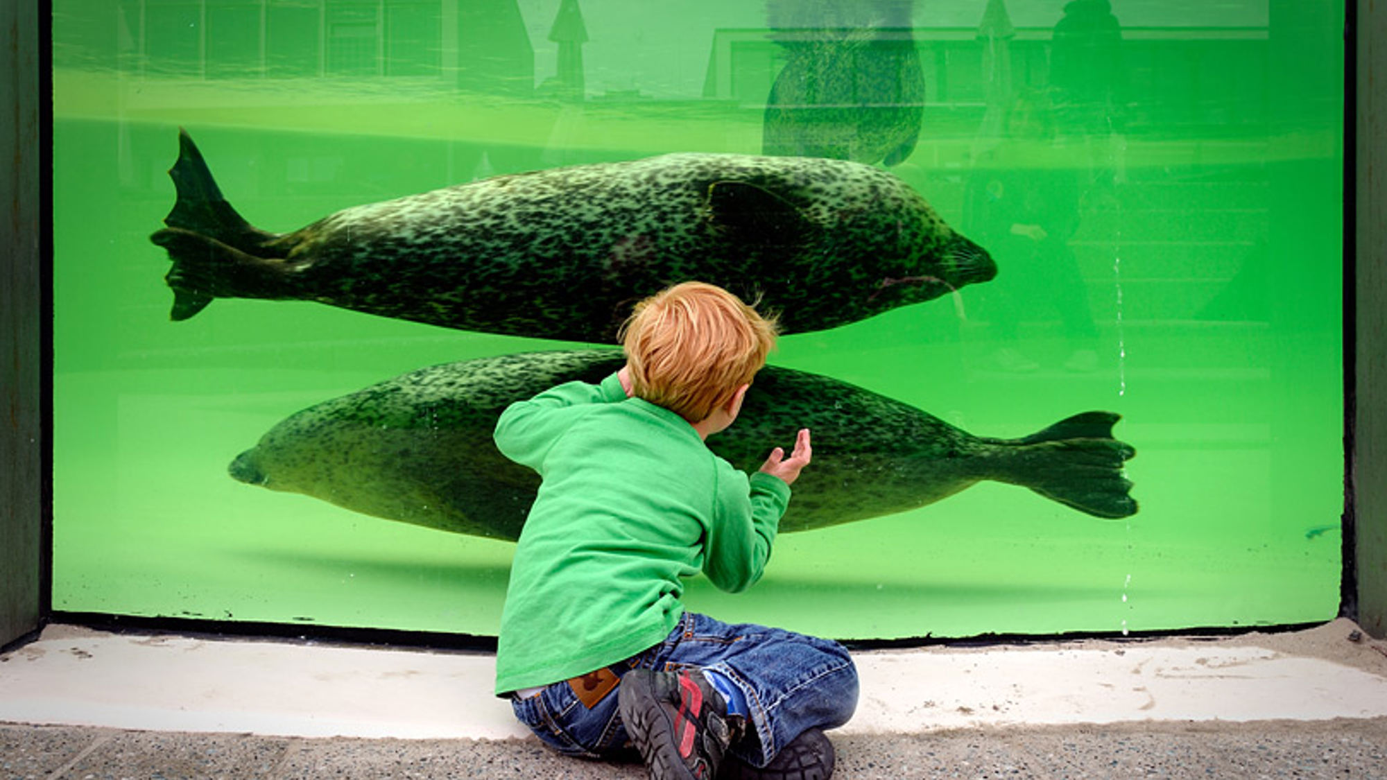 Stichting Texels Museum