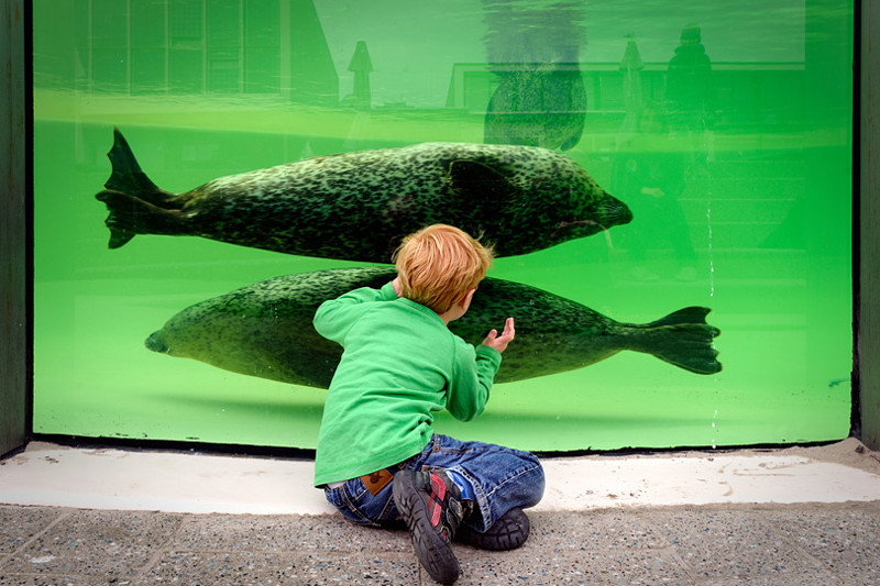 Stichting Texels Museum