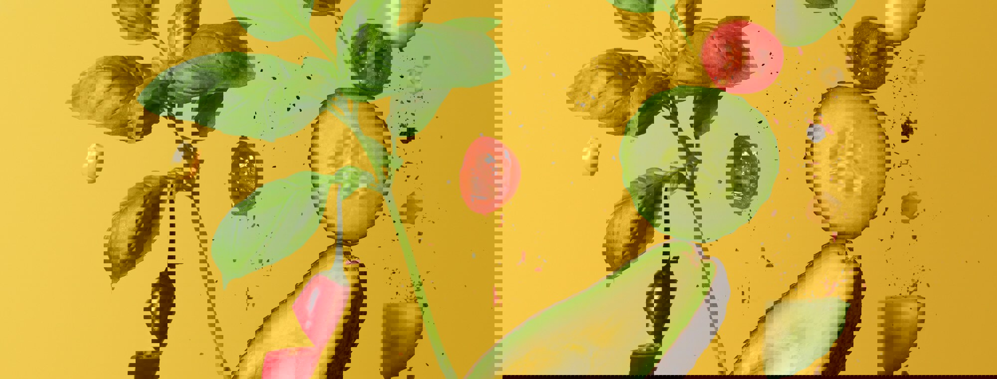 Tangerine Newt Rgt22ixcq4y Unsplash