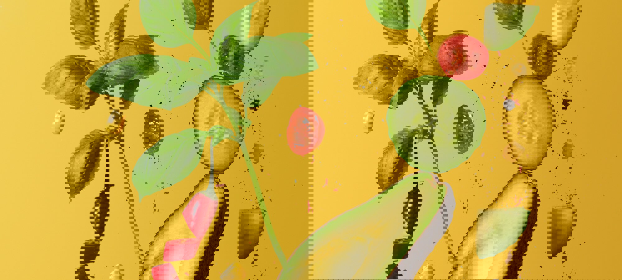 Tangerine Newt Rgt22ixcq4y Unsplash