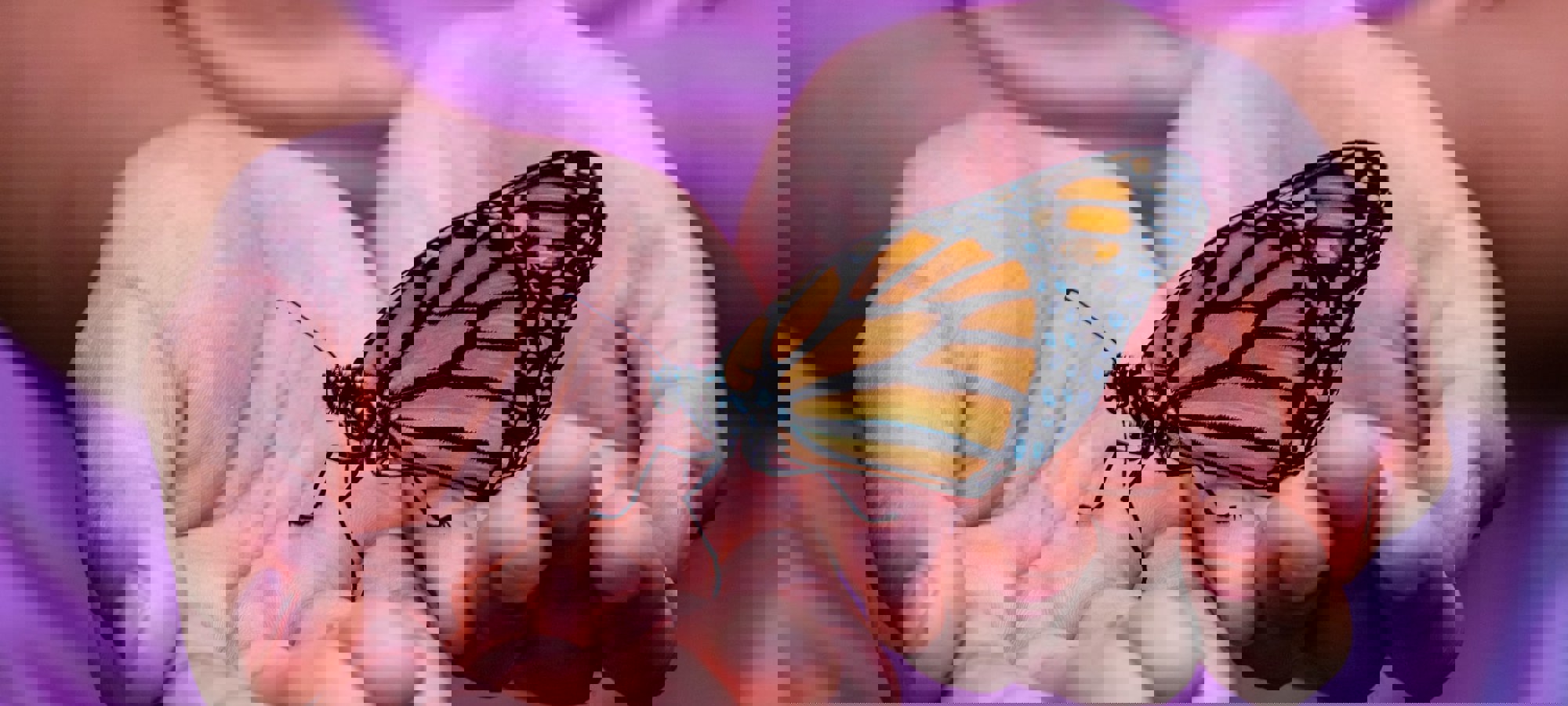 ac1e694a-b9a7-43ad-83e5-34d945ca14b7