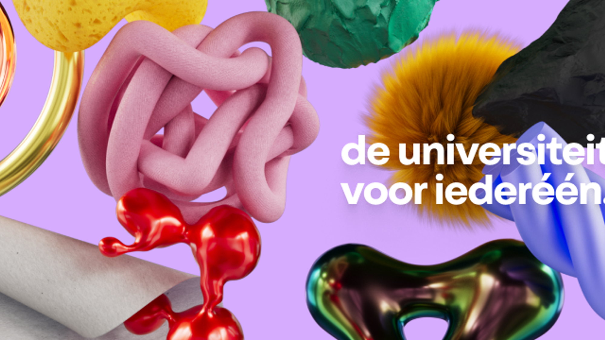 Universiteit van Nederland