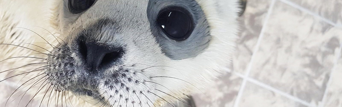 Creatief campagne concept