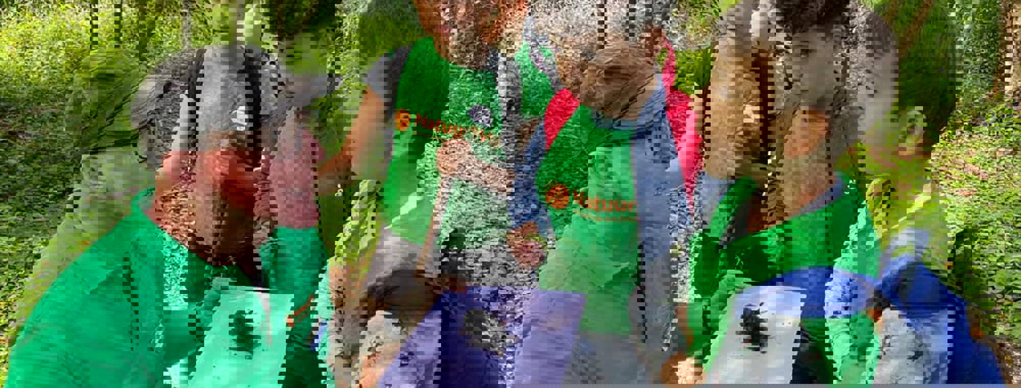 090f3a06-5b32-4b4f-a393-d8a738b281ea
