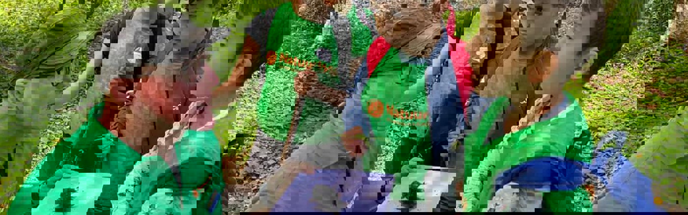 Advies over Partnerships aangaan