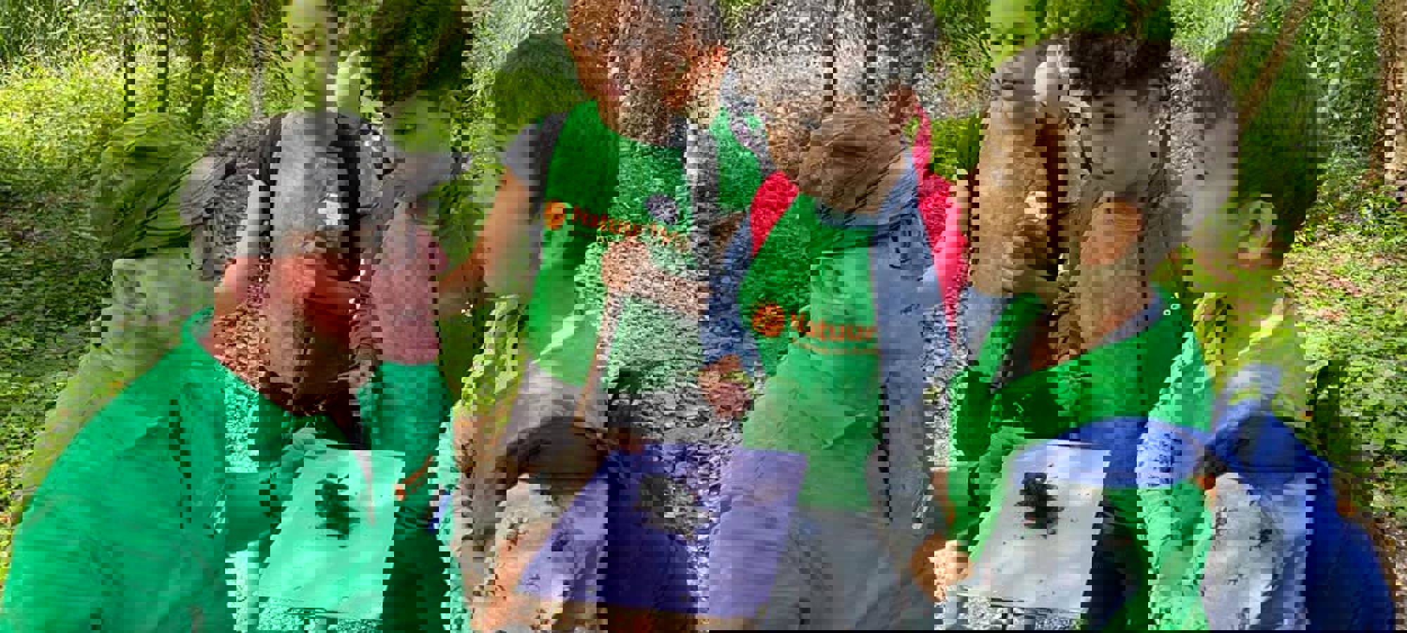090f3a06-5b32-4b4f-a393-d8a738b281ea