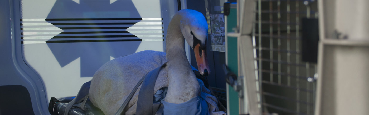 Workshops social media strategie