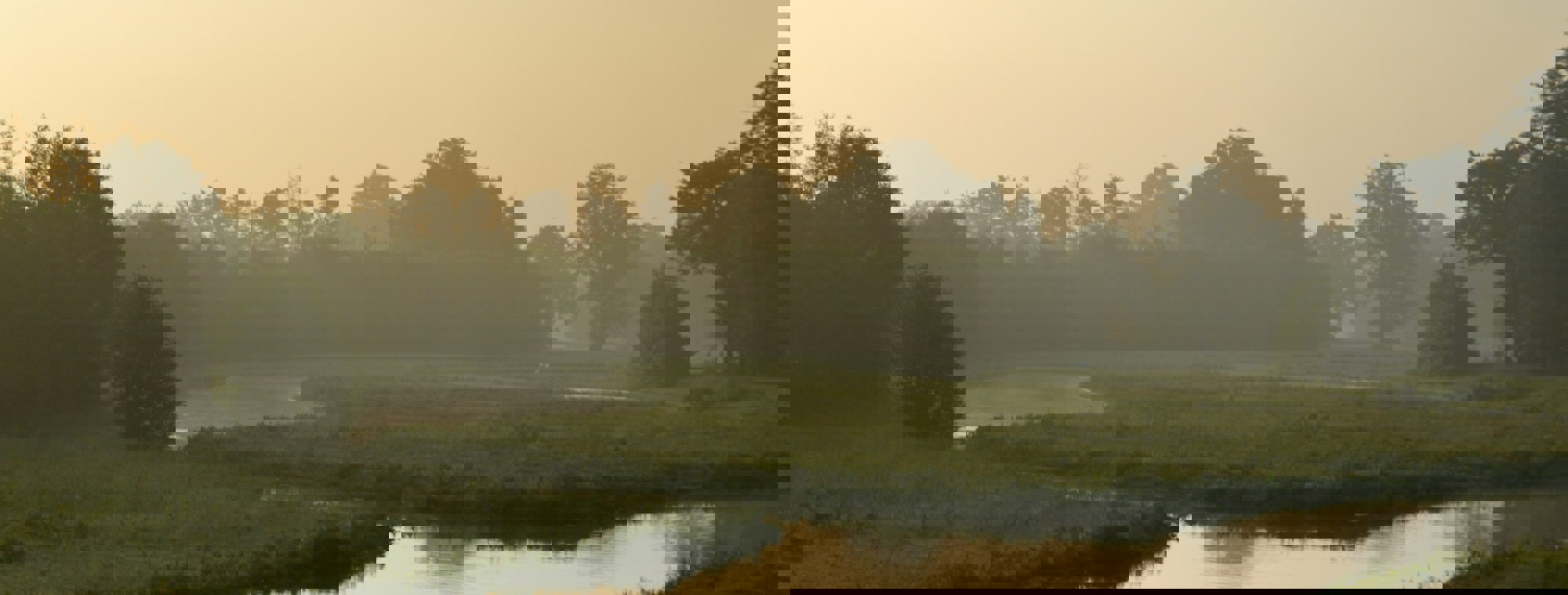 Erik Van Dijk Nlnwi2be8nc Unsplash