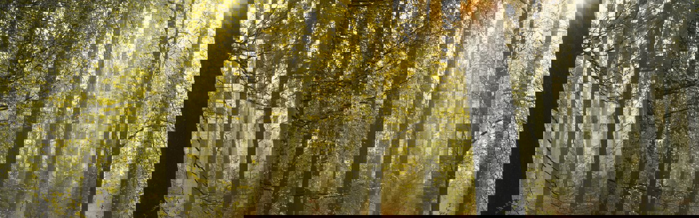 Hulp bij e-mailmarketing campagne