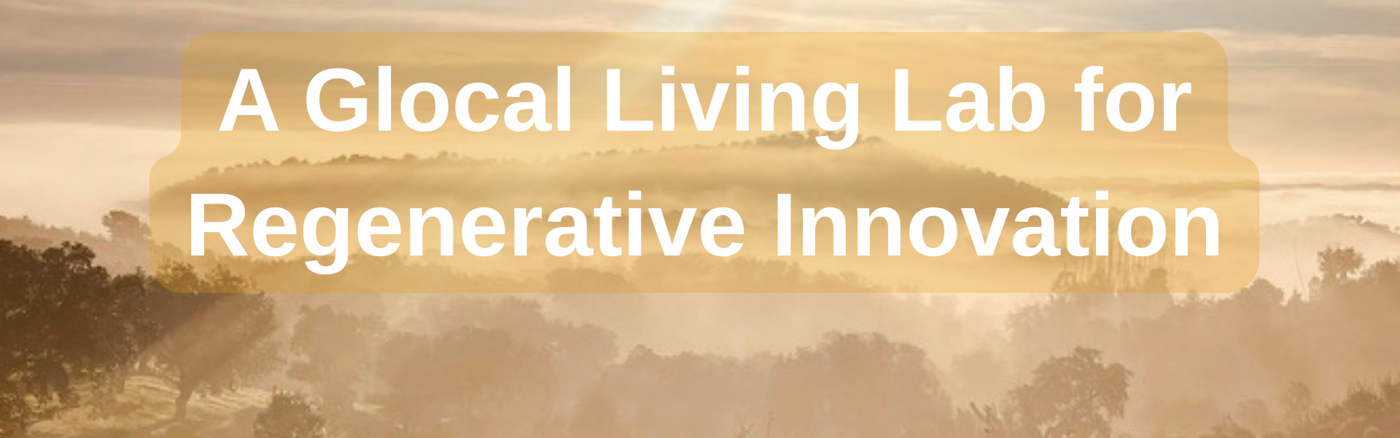 Ontwikkel 1 krachtige bedrijfspitch