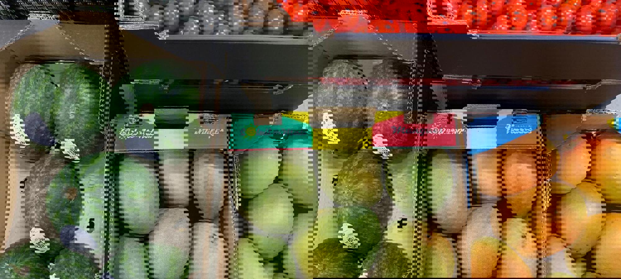 49fb7b4b-7985-4cbf-bace-cc5b21b78c32