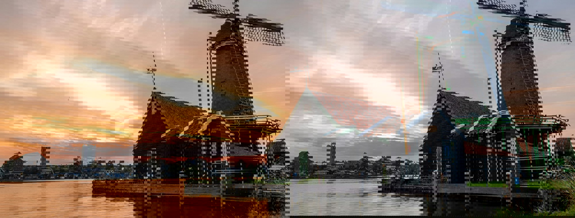 Artem Shuba Cl12mzdzpsa Unsplash