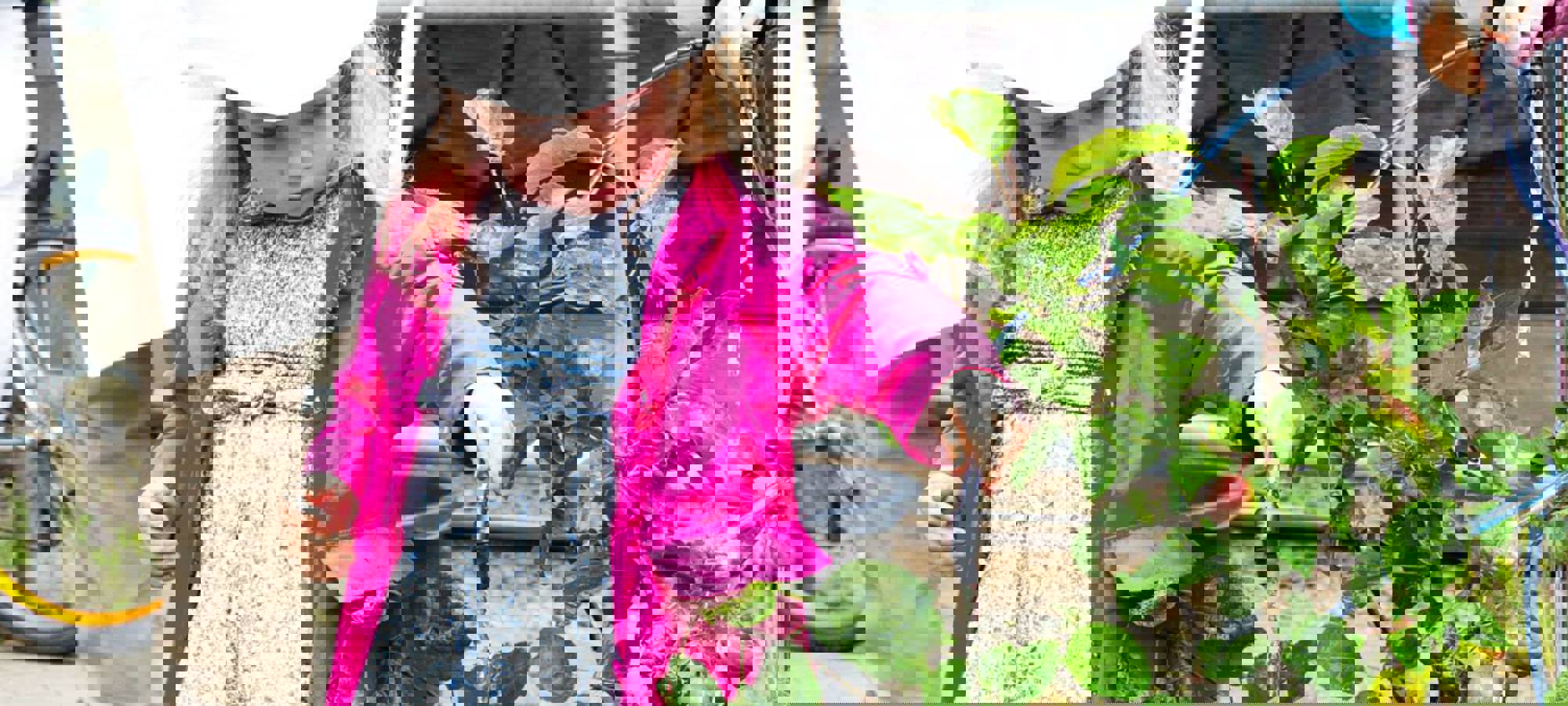 11221751 660050610792743 2337280327452149135 O