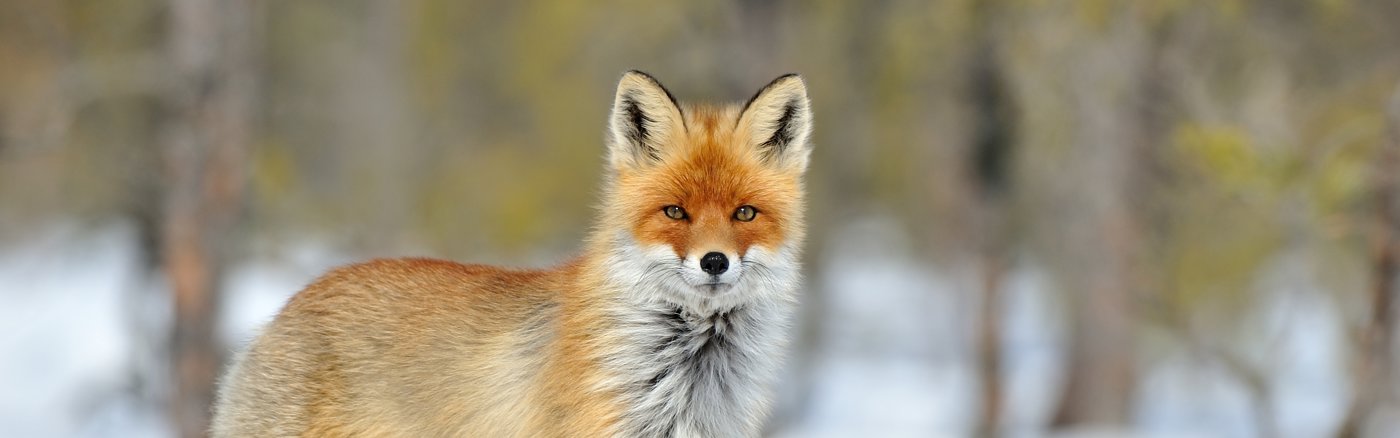 Advies over Crowdfunding 