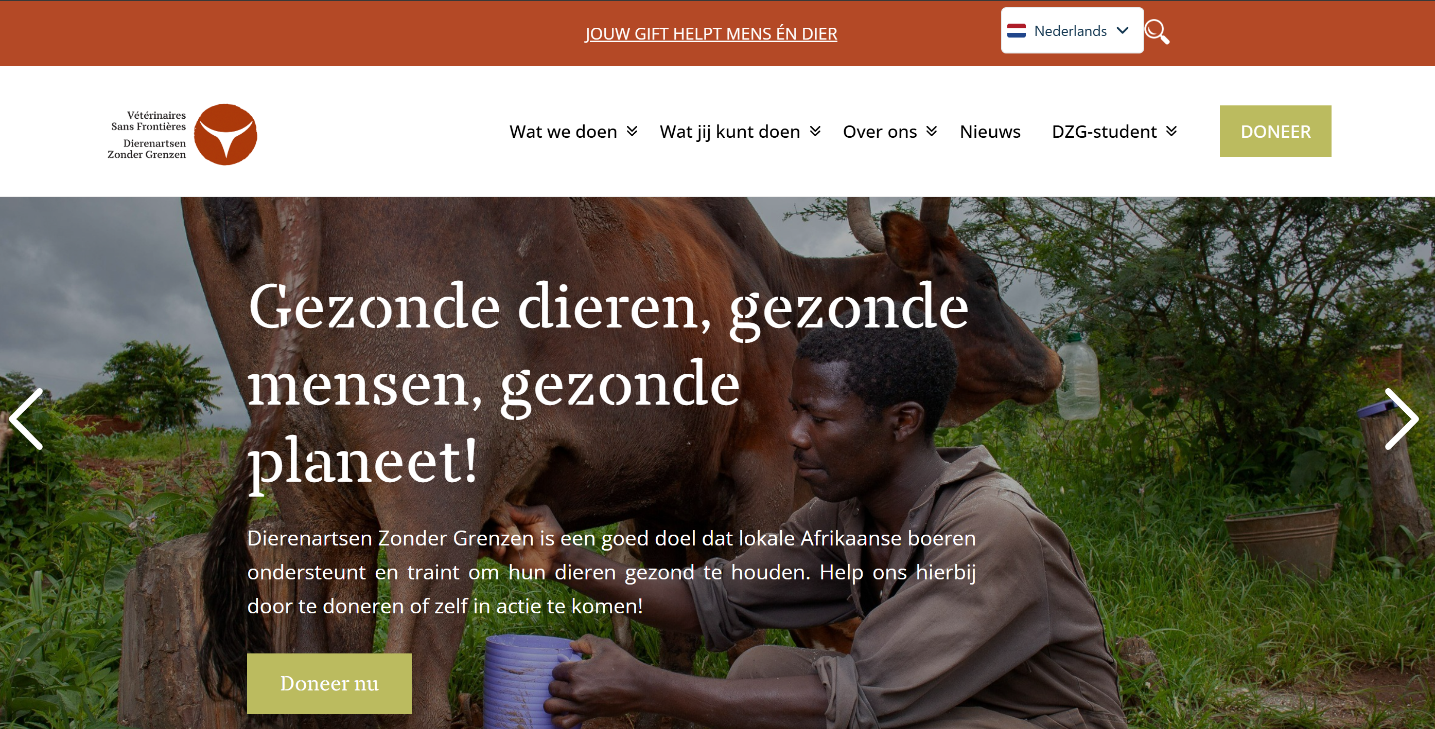 Websitevertaling naar Engels voor Dierenartsen Zonder Grenzen