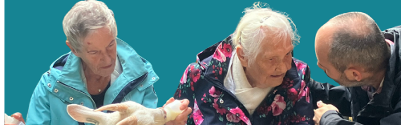 Fotoreportage over vrijwilligerswerk Weesp