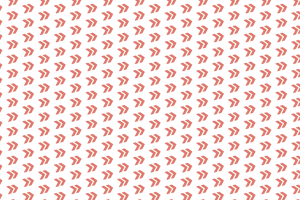 Visuele stijl voor Voor Democratie