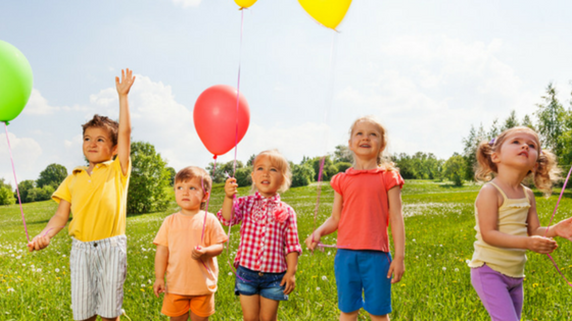 De Nederlandse Vereniging voor Pleeggezinnen