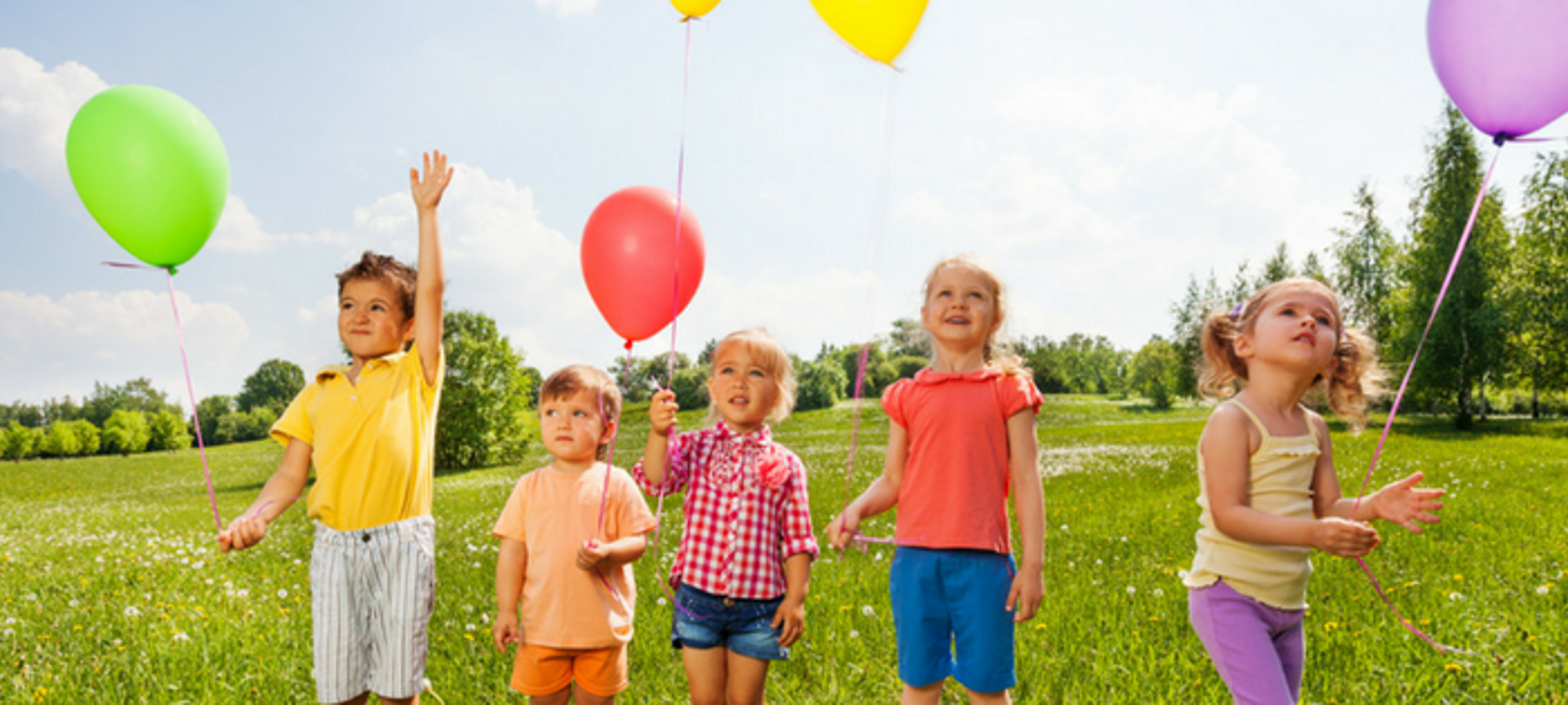 De Nederlandse Vereniging voor Pleeggezinnen-photo