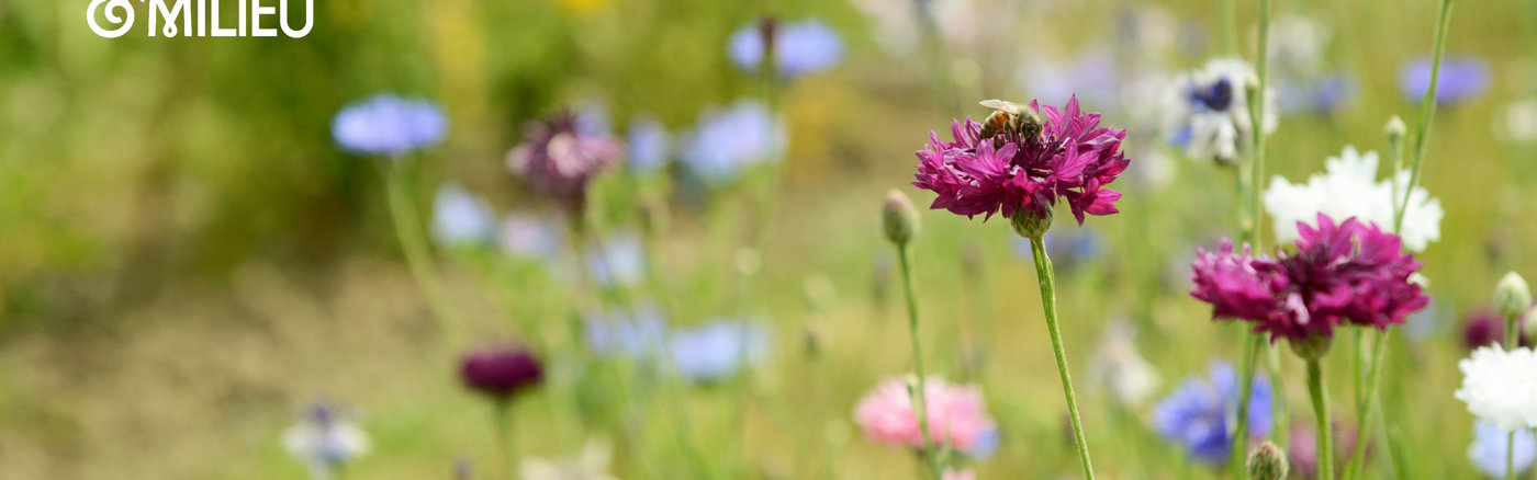 1 uur advies: Accountant