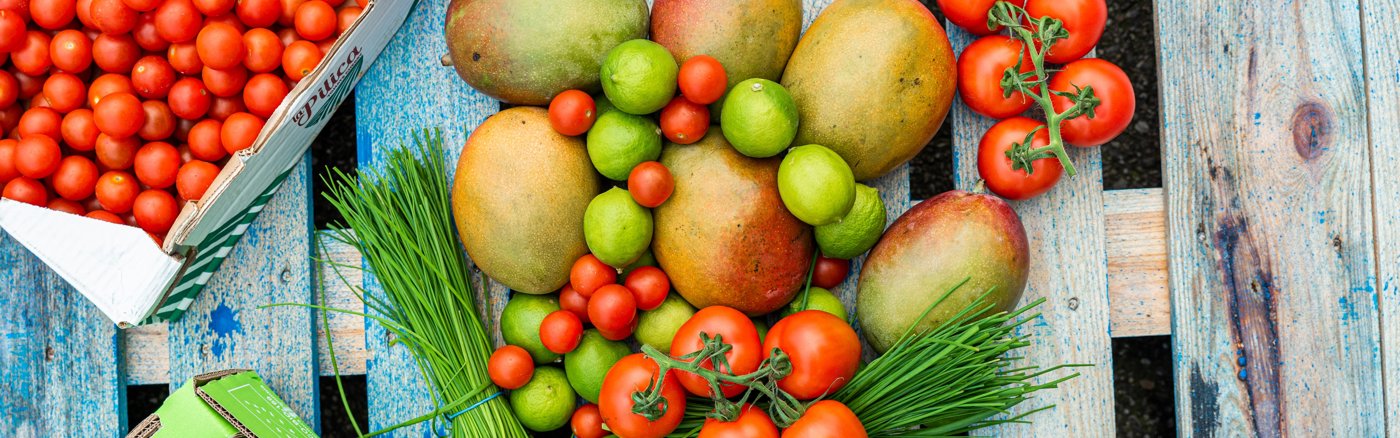 Logo vernieuwing + Huisstijl