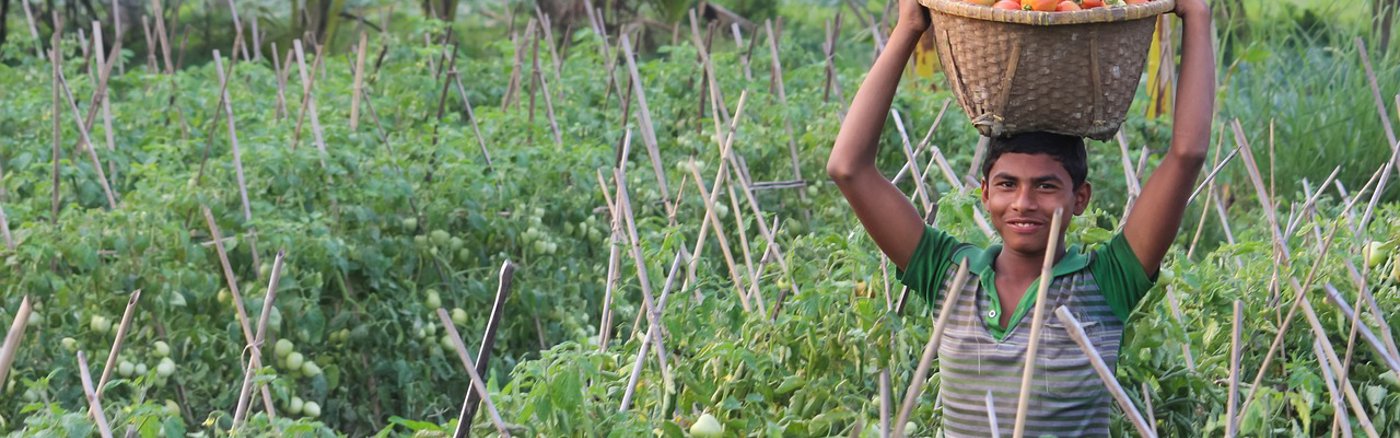 Stategisch campagneplan voor Stichting Wakibi