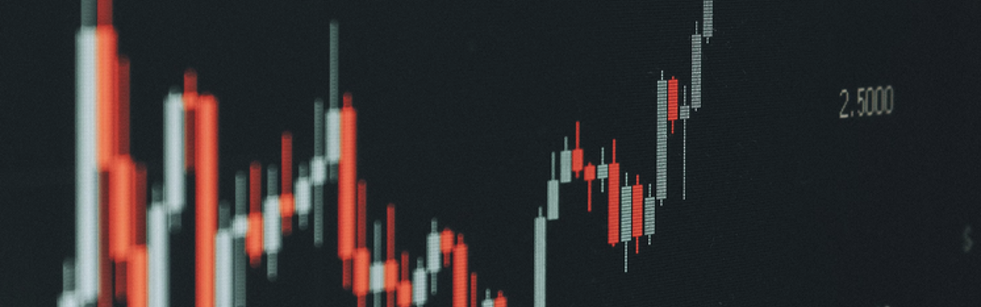 Excel-model: Winst/verlies berekening