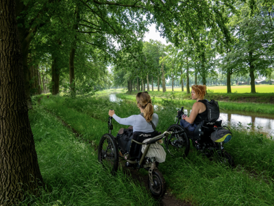 Google Grants Campagne voor Stichting